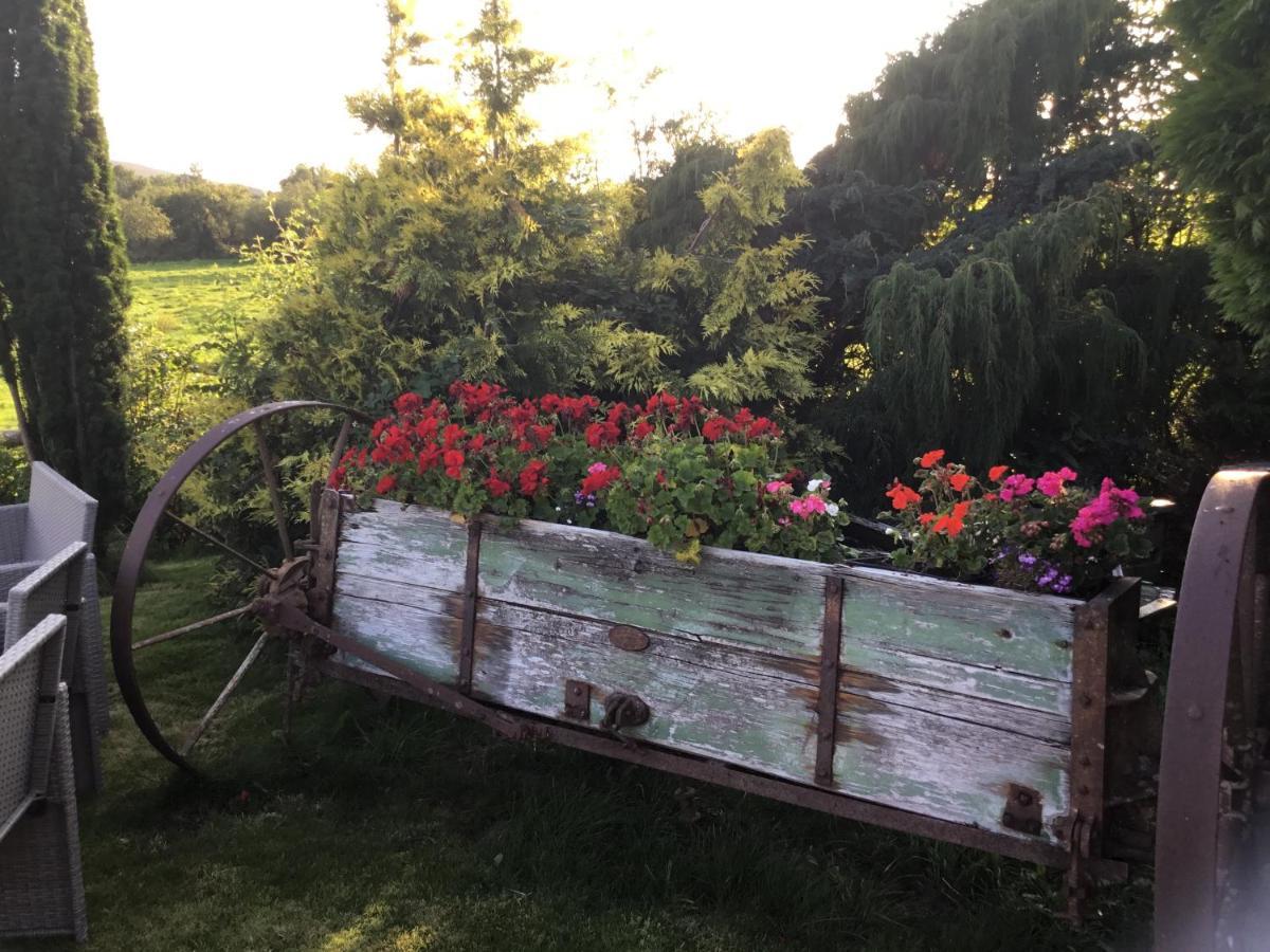 Tyddyn Perthi Farm Villa Ланберис Екстериор снимка